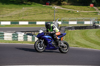 cadwell-no-limits-trackday;cadwell-park;cadwell-park-photographs;cadwell-trackday-photographs;enduro-digital-images;event-digital-images;eventdigitalimages;no-limits-trackdays;peter-wileman-photography;racing-digital-images;trackday-digital-images;trackday-photos